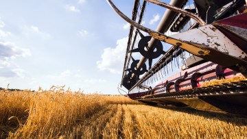 Каталог продуктов BASF 2025